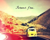 /album/fenykepgaleria/forever-free-jpg/